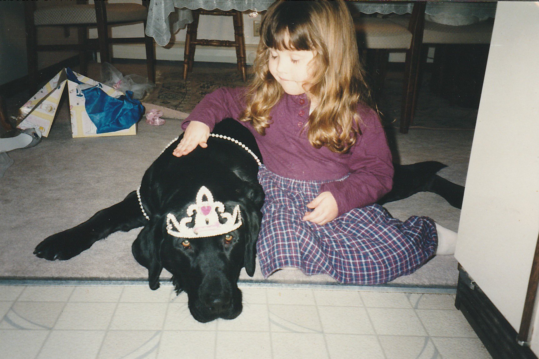 The black lab i had growing up, Buddy.