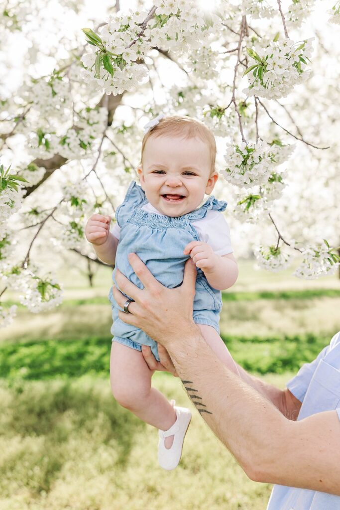 One-year-old girl surrounded by cherry blossoms in Northern Michigan
