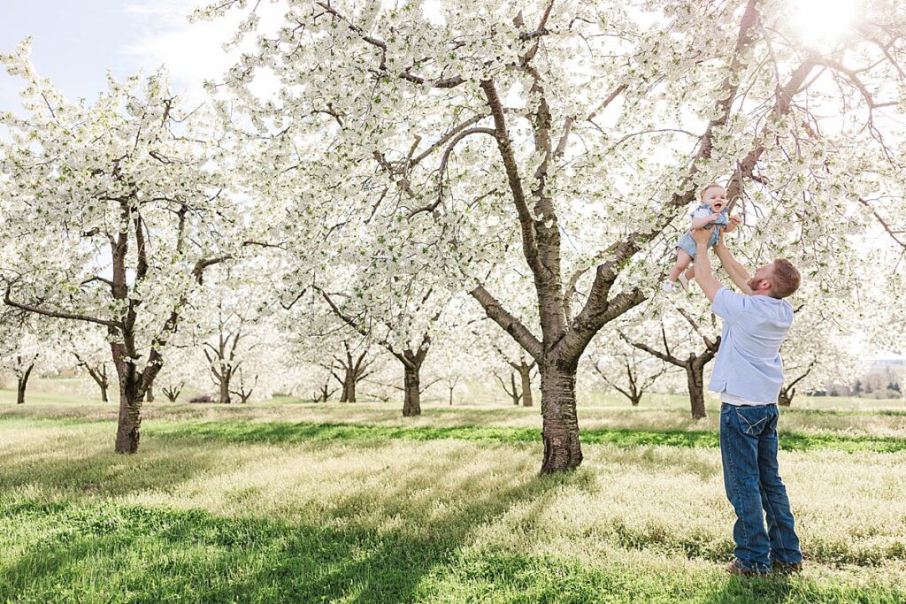 Spring family photos with soft light and cherry blossoms