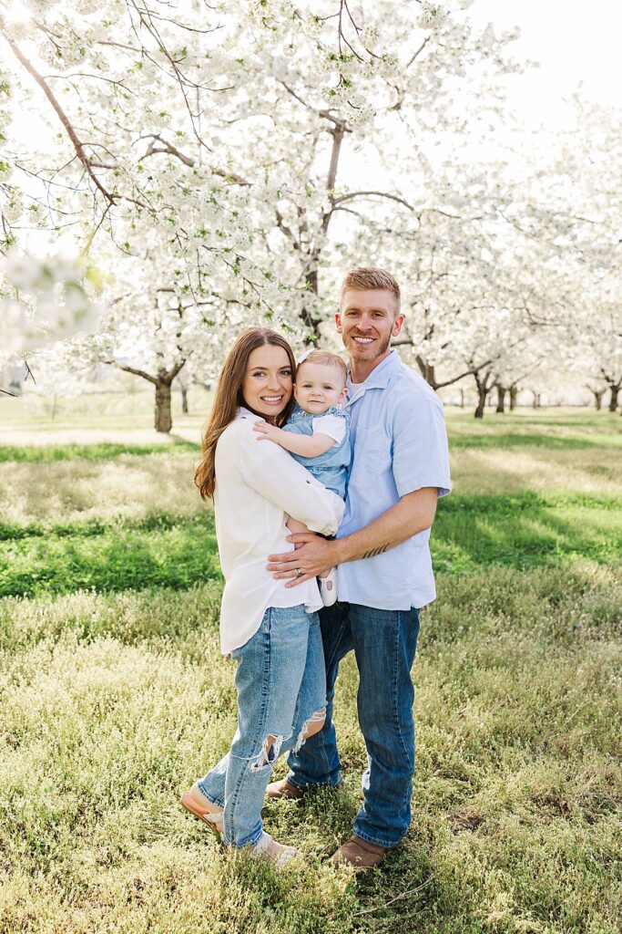 Family photography in a cherry blossom orchard