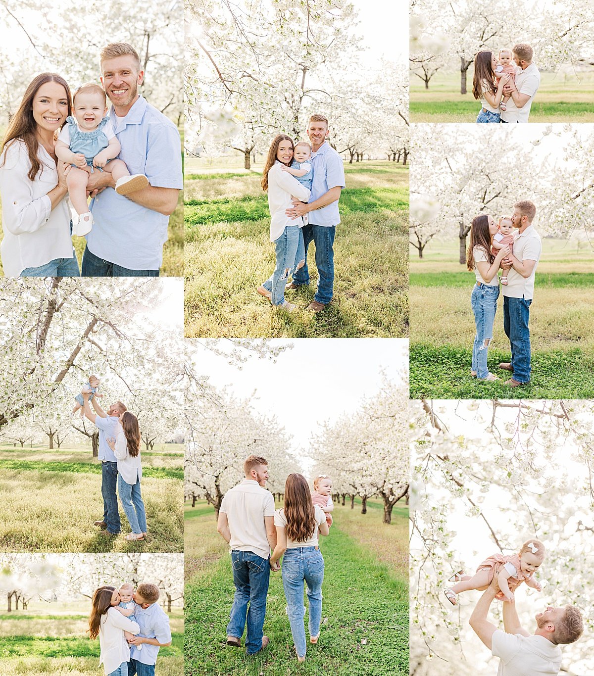  The Ziegler family shares a joyful moment under the breathtaking cherry blossom trees in Traverse City, Michigan. This dreamy spring family session captures the warmth, love, and beauty of the season, with soft sunlight filtering through the blooming orchard—creating the perfect light and airy photography backdrop. 