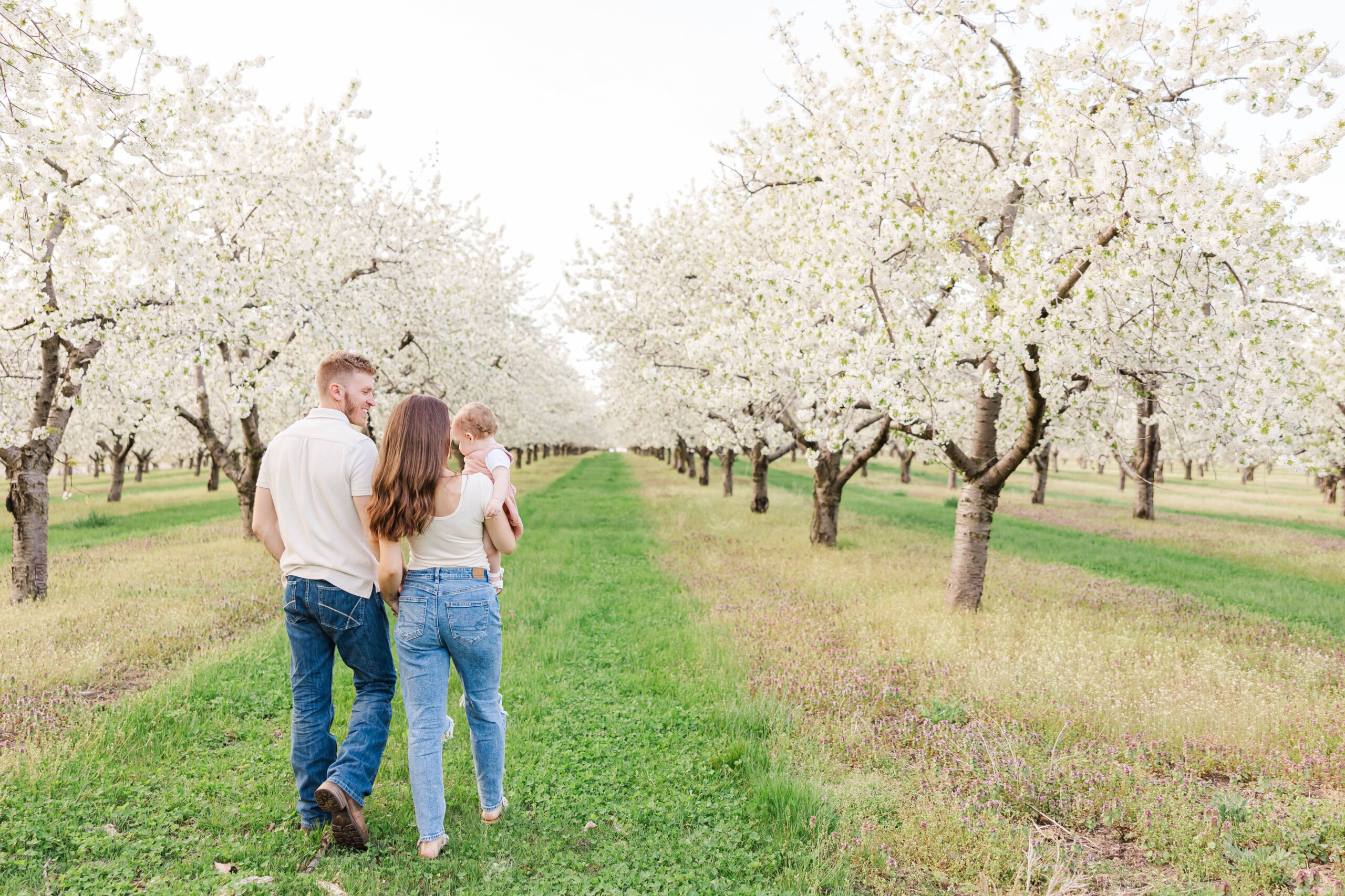 Family walking through a blooming cherry orchard during their spring photoshoot in Northern Michigan