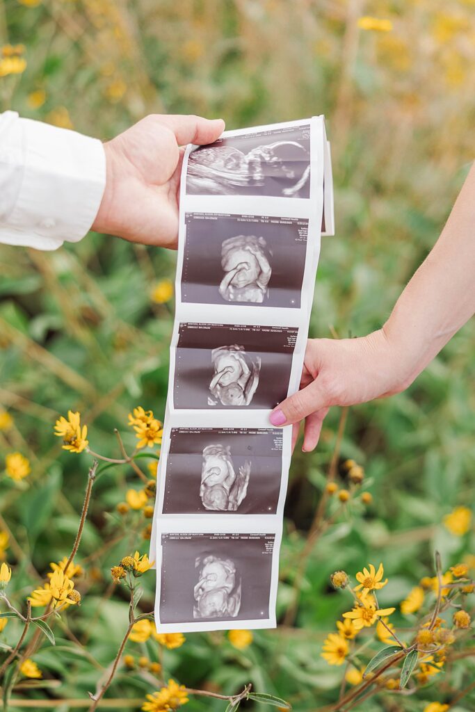 Timeless maternity photo in Traverse City, Michigan at the Botanical Gardens