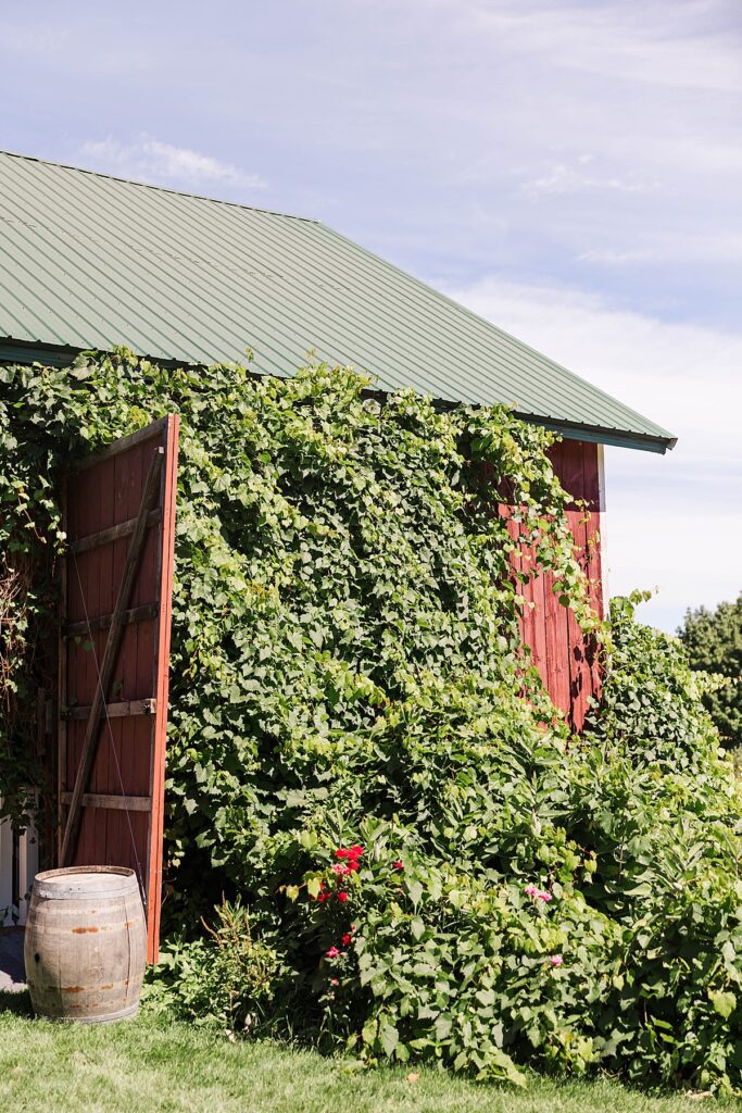 Bride getting ready in ivy-covered bridal barn at Bayview Weddings
