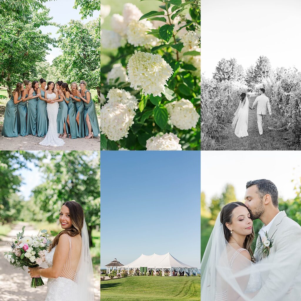 Bayview Weddings at Gallagher Farms ceremony overlook with panoramic Grand Traverse Bay view