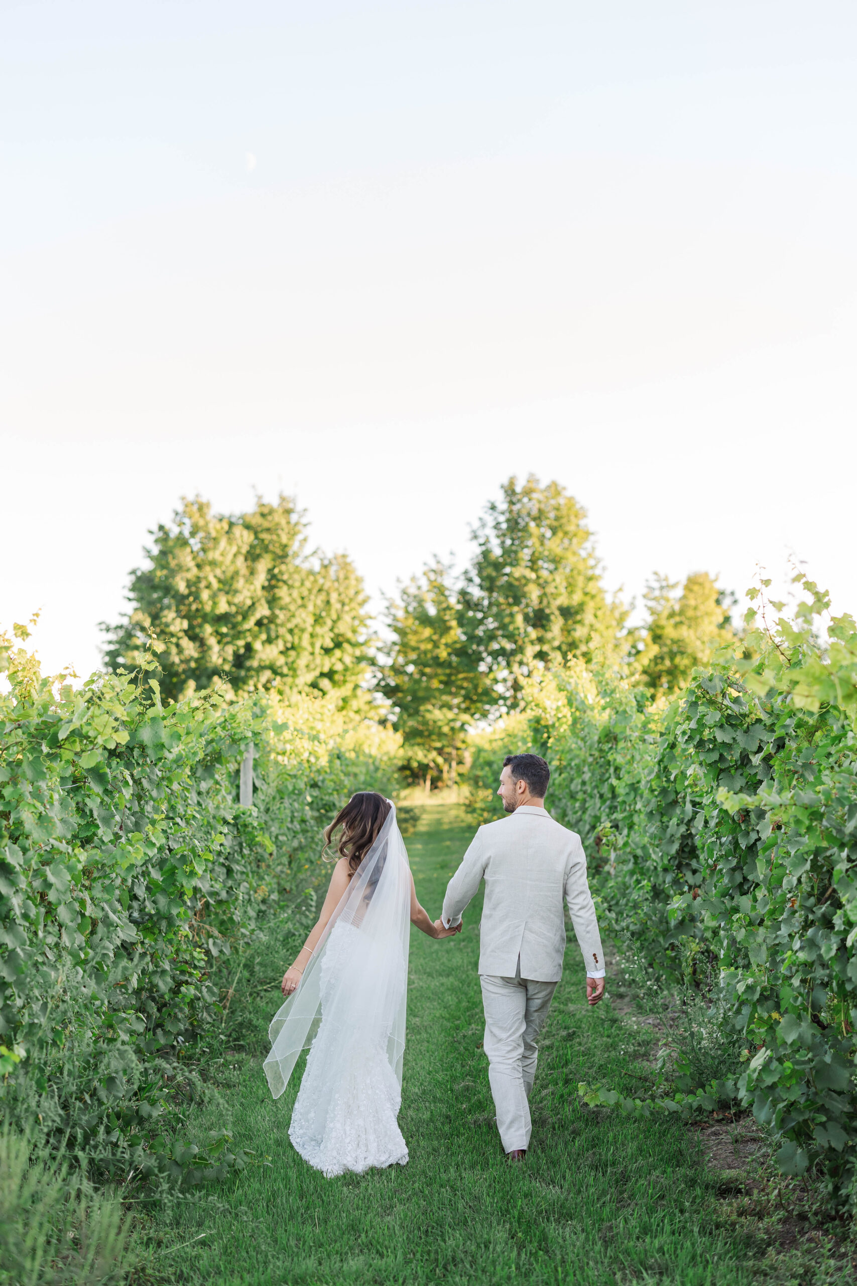 Bride and groom walking hand in hand through vineyard rows at Bayview Weddings at Gallagher Farms in Traverse City