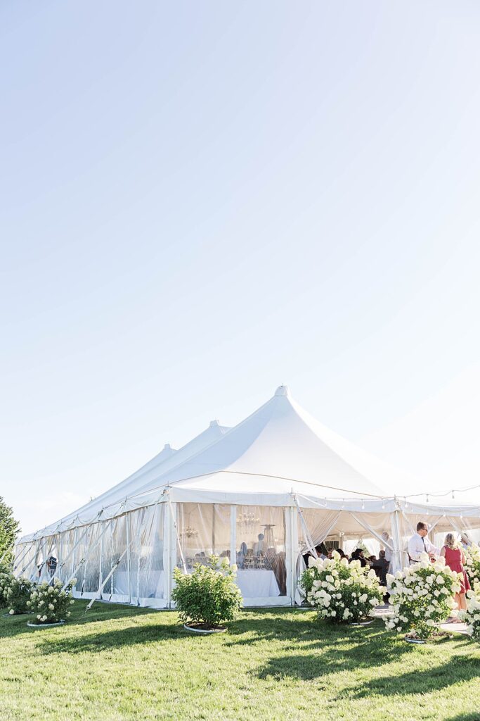 Guests walking toward the barn surrounded by hydrangeas at Bayview Weddings at Gallagher Farms