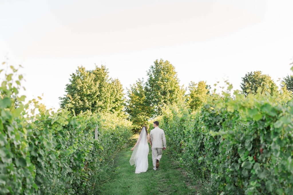 Bride and groom walking through a Northern Michigan vineyard during golden hour wedding portraits.