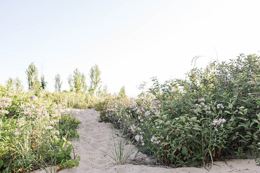 greenery and floral trail at Elk Rapids Dam Beach in Northern Michigan portrait session location