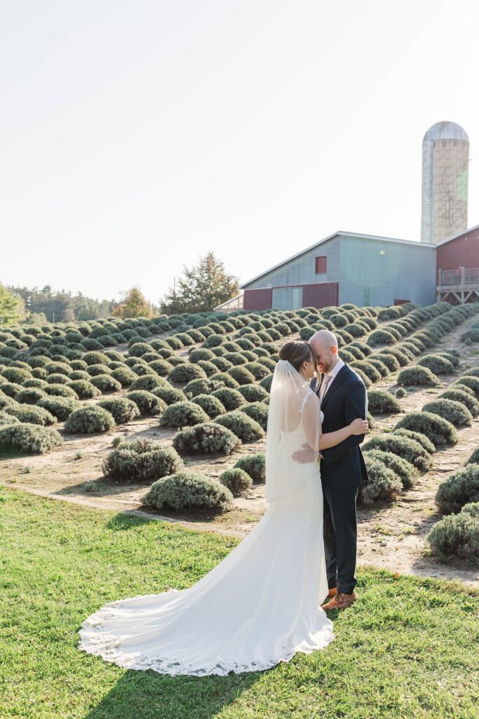 Bride and groom sharing a kiss in the lavender fields after their Lavender Hill Farm wedding ceremony