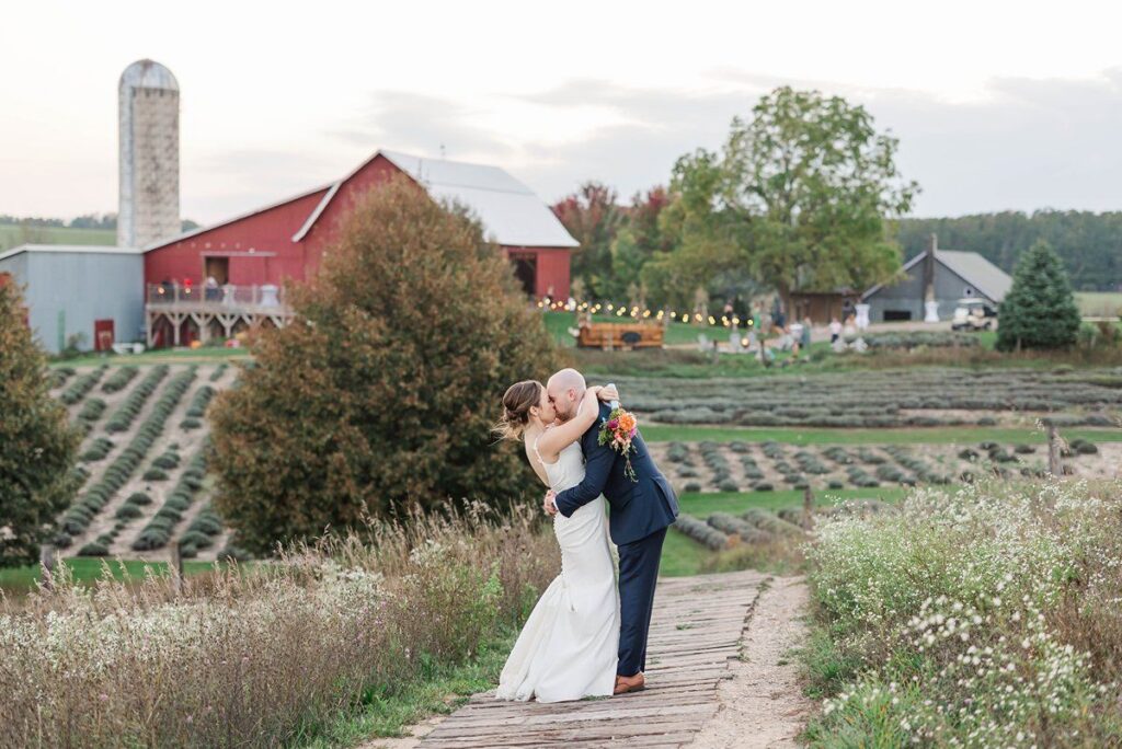 Bride and groom kissing on the hill overlooking the lavender fields at Lavender Hill Farm