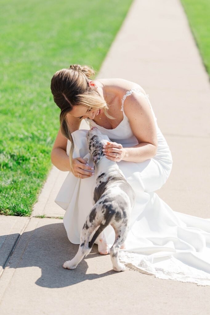 Bride petting a puppy before her Lavender Hill Farm wedding at Boyne Mountain Resort